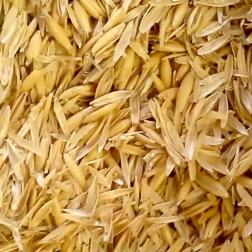 شلتوک برنج طارم امساله 500گرمی