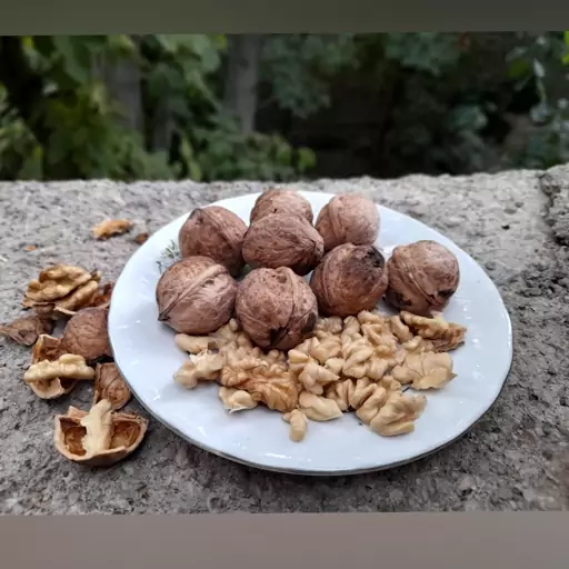 گردو  قزوینی مغز سفید و توپر(500g)