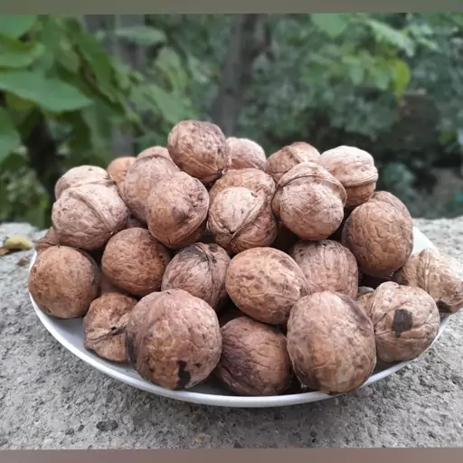 گردو  قزوینی مغز سفید و توپر(500g)