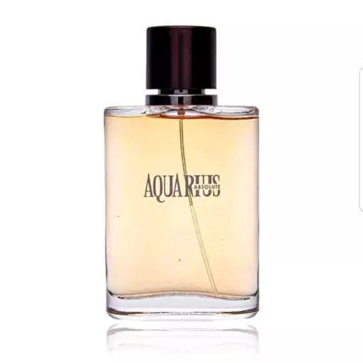 عطر ادکلن 100 میل اماراتی جورجیو آرمانی آکوا دی جیو ابسولو Giorgio Armani Acqua Di Gio Absolu ارسال رایگان