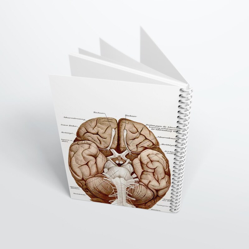 	 دفتر نقاشی 100 برگ مدل آناتومی مغز کد 1
