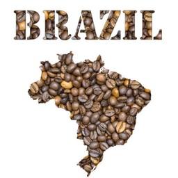 دان قهوه سانتوس برزیل 100درصد عربیکا ارسال رایگان Brazil santos coffee 