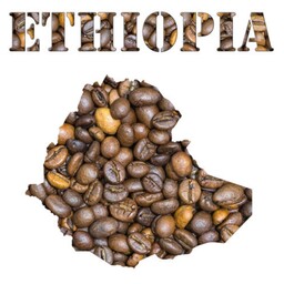 دان قهوه اتیوپی لکمپتی 100 درصد عربیکا ارسال رایگان Ethiopia lekempti coffee 