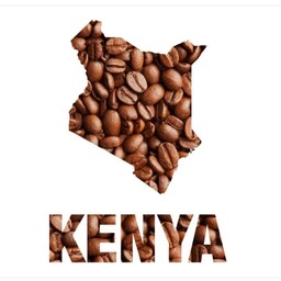 دان قهوه کنیا 100 درصد عربیکا ارسال رایگان Kenya coffee 