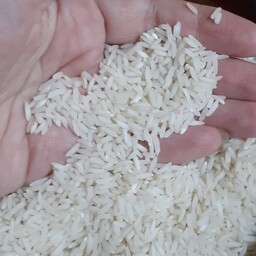 برنج هاشمی بوجارصفر عالی