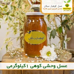 عسل وحشی کوهی درمانی ساکارززیر1درصد  1 کیلویی سبلان(مستقیم از زنبوردار)ارسال رایگان