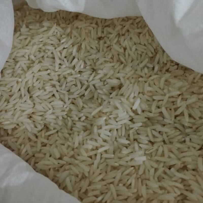 برنج هاشمی تازه محصول امسال دست کشاورز منطقه تالش الک خورده و سورتینگ شده