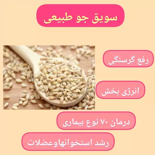 سویق جو اعلا و طبیعی، با ارسال رایگان، برطرف کننده گرسنگی و انرژی زا، بهبود هفتادنوع بیماری،موثر در رشد استخوان و عضلات