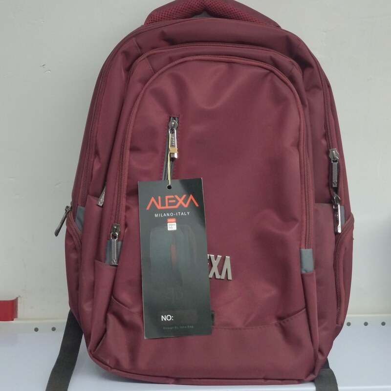 کوله پشتی لپ تاپ مدل ALEXA