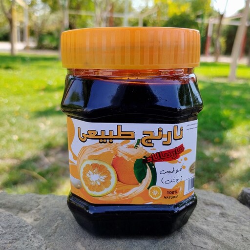 رب نارنج ترنج یا سس نارنج (450 گرم خالص)