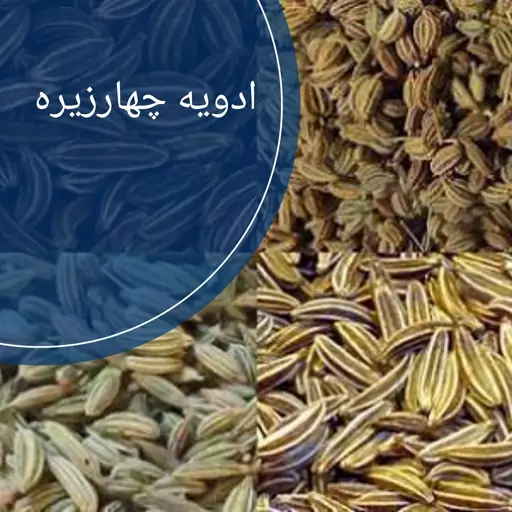 ادویه چهار زیره100گرمی تولیدی ادویه شایسته