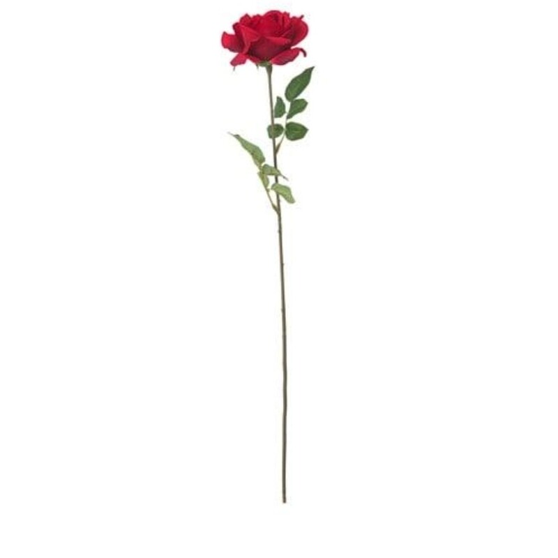 گل مصنوعی آیکیا مدل رز قرمز. SMYCKA. کدمحصول 703.336.80. ارتفاع 75سانتیمتر