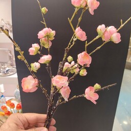 یک شاخه شکوفه ( صورتی روشن ) زیبا