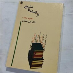 کتاب از بیشه تا ستیغ مجموعه مقالات نویسنده علی محمدی ناشر دانشگاه بوعلی همدان