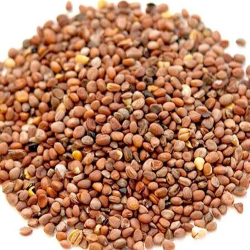 بذر سبزی تربچه ایرانی
