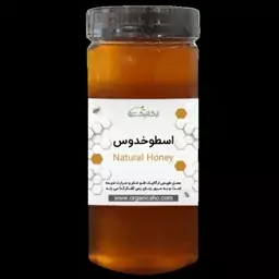 عسل اسطوخودوس  عسل زنبور دار  (محصول ارتفاعات بینالود )