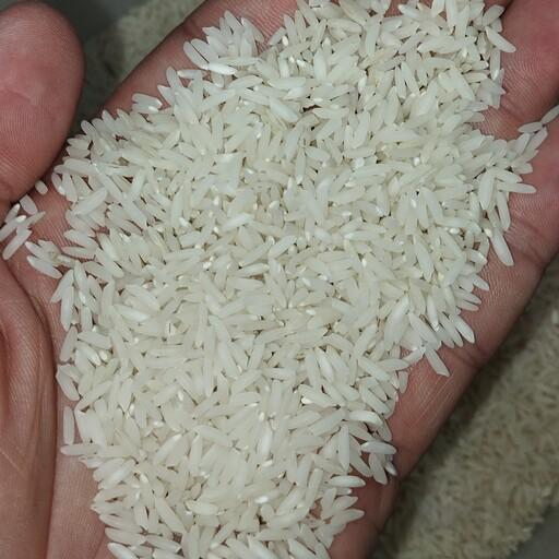 برنج طارم هاشمی درجه یک 25 کیلویی مستقیم از درب کارخانه شالیکوبی 
