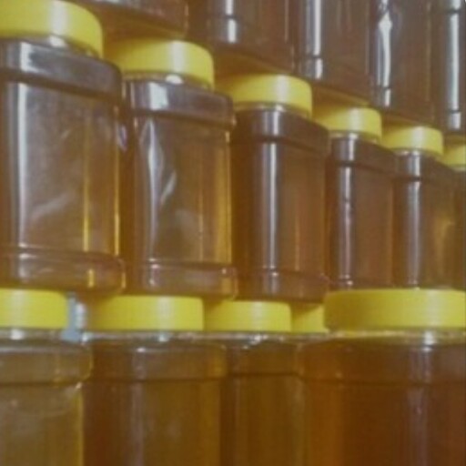 عسل گون یک کیلویی کاملا طبیعی بسیار خوش طعم وعطر عالی