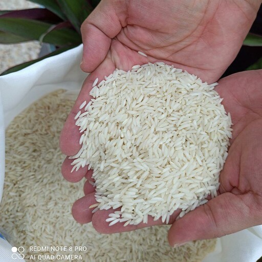 برنج معطر طارم هاشمی  اعلا   امساله بشرط پخت  وبشرط کاملا خالص بودن درکیسه های 10و20کیلویی بدون خرده کاملا یکدست