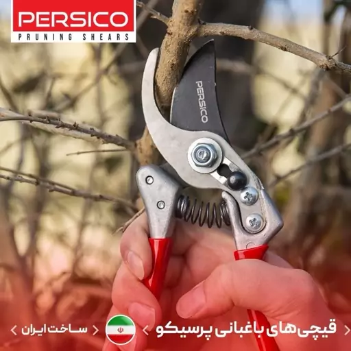 قیچی باغبانی پرسیکو