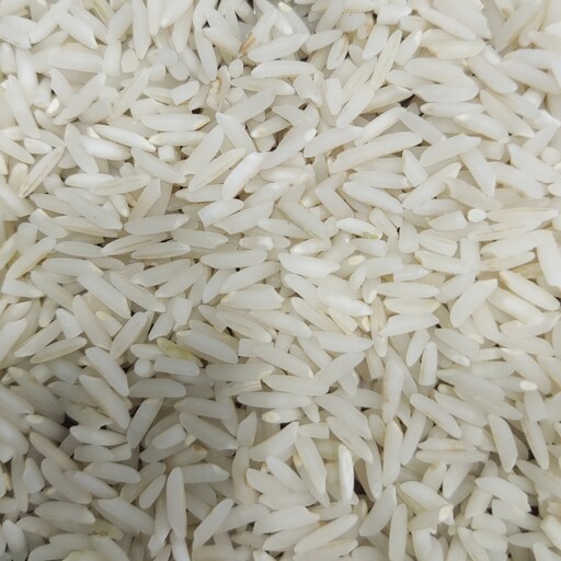 برنج طارم هاشمی بسته  10 کیلویی بوجار شده