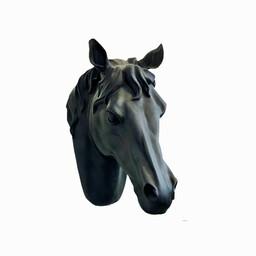 مجسمه مدل سردیس اسب