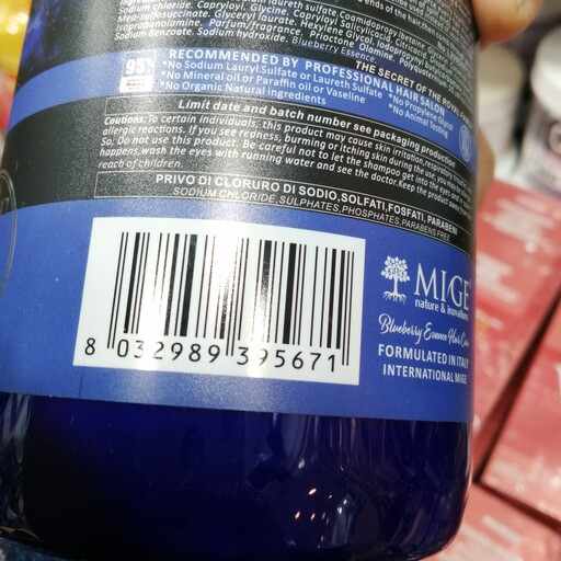 ماسک مو میگ بلوبری بدون سولفات Mige blueberry