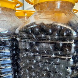 زیتون سیاه بدون آب با ماندگاری بالا در پت های 7 کیلویی بدون نیاز به بسته بندی