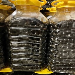 زیتون سیاه ایرانی فرآوری با روغن بدون نیاز به آب با فرآوری بهداشتی و بدون نیاز به بسته بندی با ماندگاری بالا