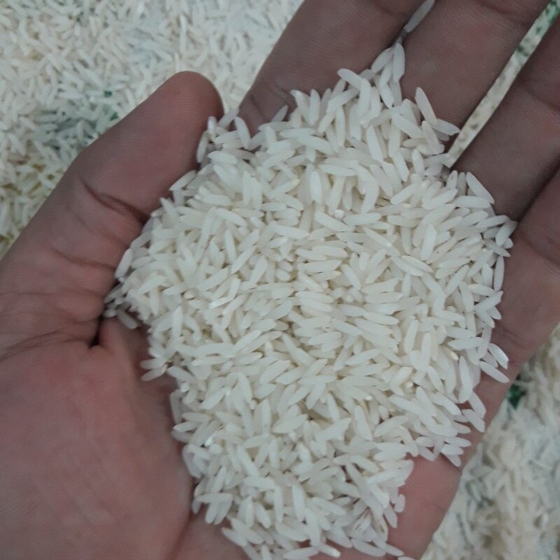 برنج طارم محلی عطری شهرستان  فریدونکنار کشت اول امساله ودربسته های 10 کیلوگرمی بنام محلی (پایلم)