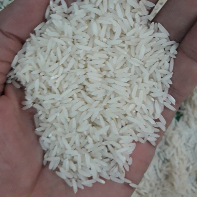 برنج شیرودی ممتاز امساله بانام( پایلم)امساله دربسته 5و10 کیلوگرمی  شالیز ارهای مازندران باعطر وطعم دلنشین