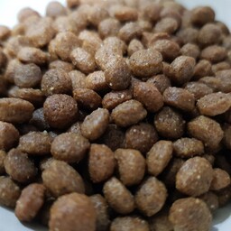 غذای خشک گربه بالغ صادراتی  1کیلوگرم (تضمین کیفیت و ضمانت بازگشت)