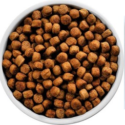 غذای خشک سگ نژاد کوچک بالغ صادراتی2کیلوگرم (تضمین کیفیت و ضمانت بازگشت)