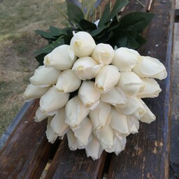 غنچه رز  سفید  لمسی مصنوعی برند گل کیش