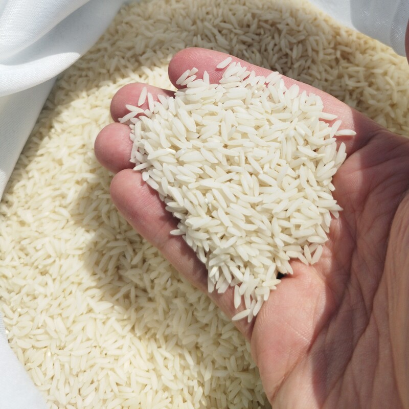 برنج طارم هاشمی درجه یک امساله - شالیزار شخصی-5 کیلوگرم