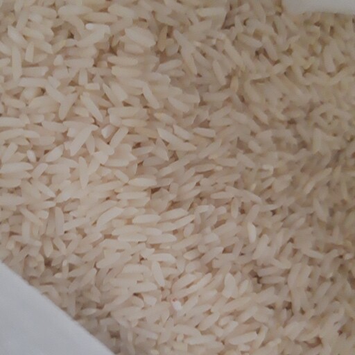 برنج طارم دمسیاه مینودشت