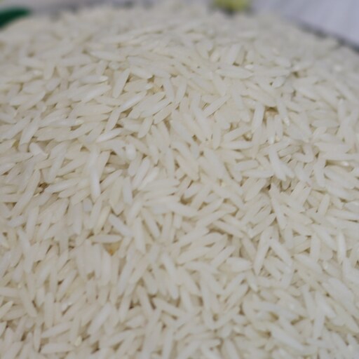 برنج شیرودی مازندران درجه یک 10 کیلویی 