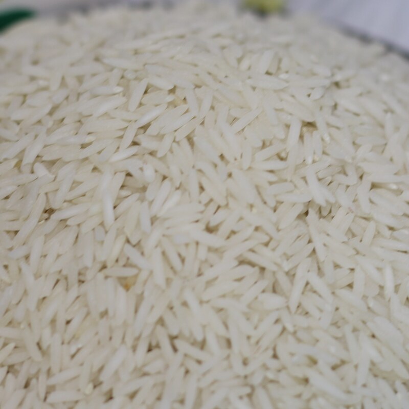 برنج شیرودی مازندران درجه یک 10 کیلویی 