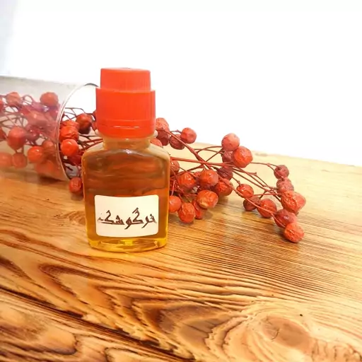 روغن خرگوشک اصل سنتی 60 میل گرم(باتضمین کیفیت)