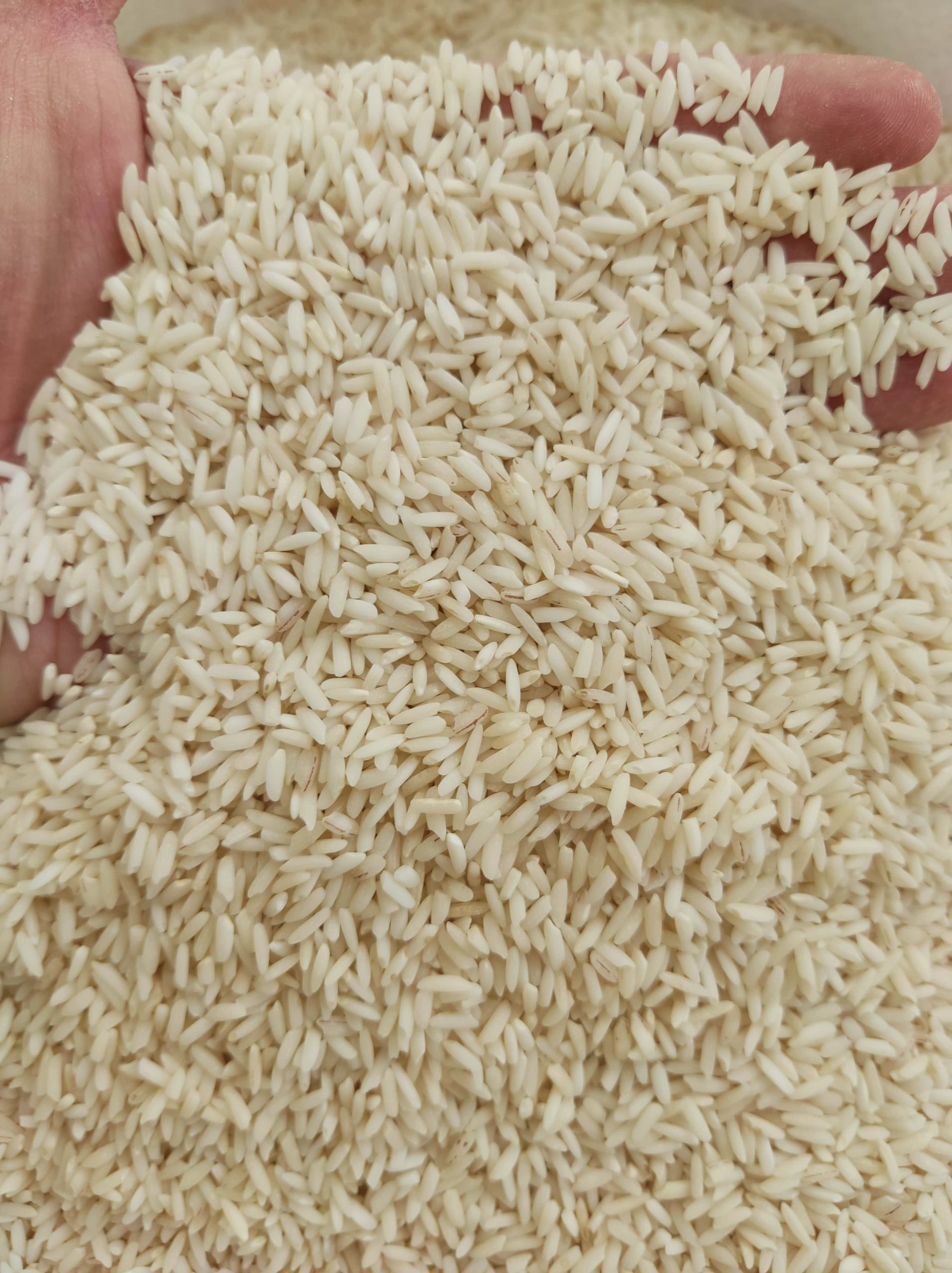 برنج علی کاظمی فوق ممتاز10k