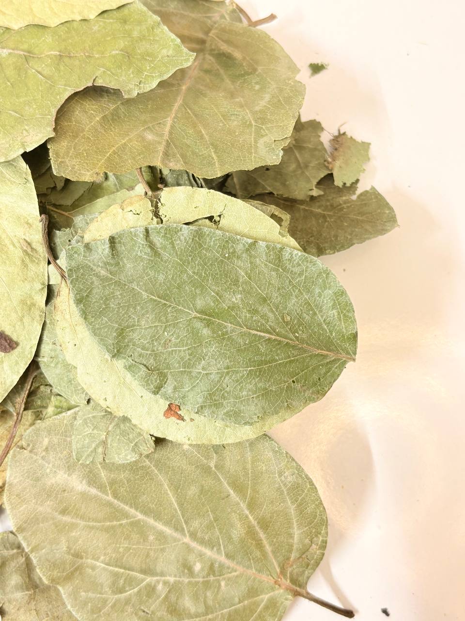 برگ به یک کیلویی