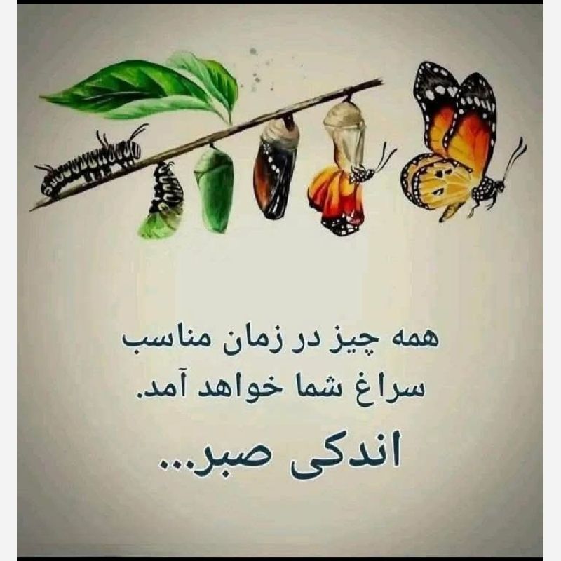 مهیار