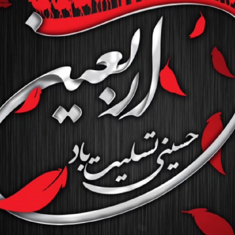 گروه ایران ط