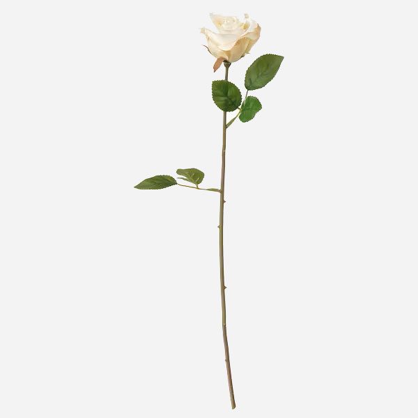 گل رز مصنوعی سفید ایکیا IKEA-SMYCKA