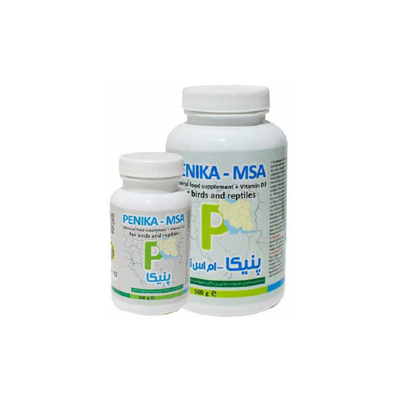 مکمل ام اس آ پنیکا