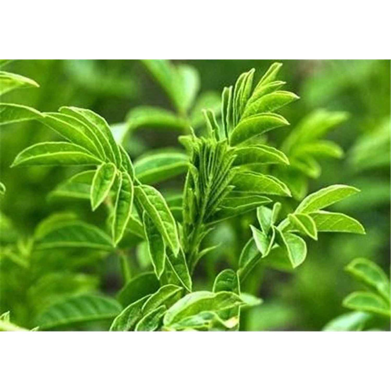 عرق شیرین بیان محلی پورکاوه - 1500 میلی لیتر