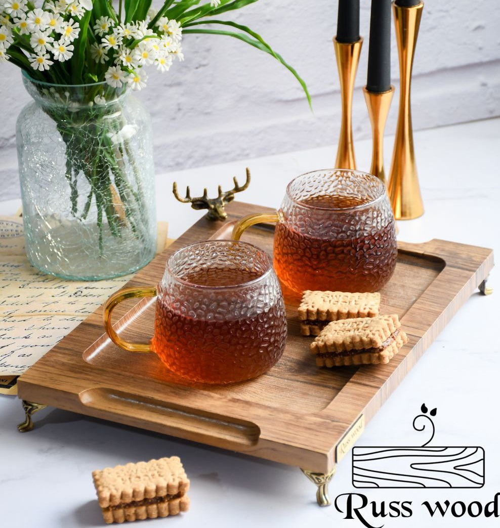 سینی وکیوم گوزن دسته دار (پست پیشتاز پس کرایه)