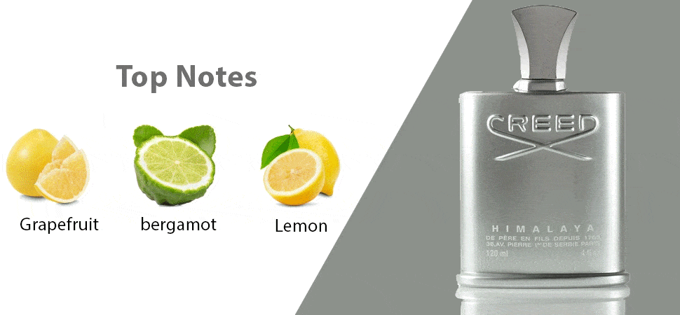 عطر مردانه کرید هیمالایا (هیمالیا) - CREED - Himalaya