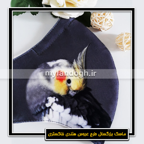 ماسک پارچه ای بزرگسال طرح عروس هلندی خاکستری