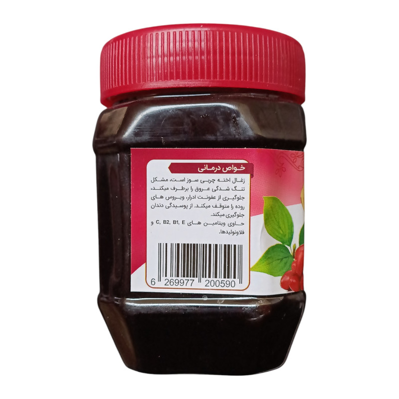 رب زغال اخته جالینوس - 450 گرم 